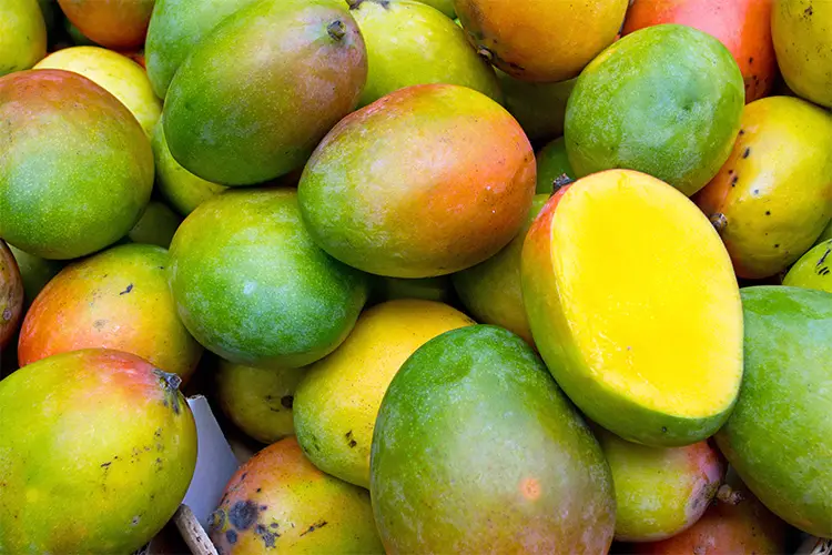 Agricultural Products